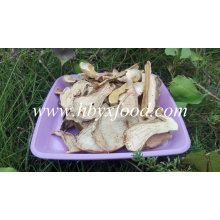 Bulk Package Crop Wild Dried Funghi Organic Slice Porcini Mushroom